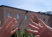 Protest outside the South Bay jail