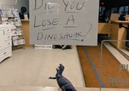 Lost dinosaur