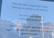 Purr Cat Cafe in Brighton temporarily closed, sign says
