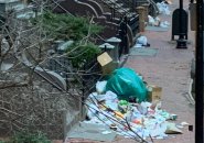Garbage along Worcester Square in the South End