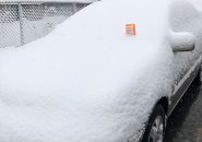 Car with a ticket in the snow in Jamaica Plain