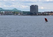 Lone sailboat on Boston Harbor waters