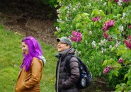 Woman with lilac hair on Lilac Saturday at the Arboretum