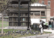 Woman feeding pigeons at Park Street