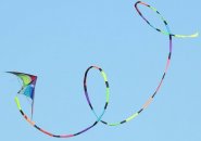 Kite above Millennium Park in West Roxbury