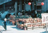 Kid and pumpkins in old Boston