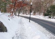 Sidewalk vs. road in Franklin Park