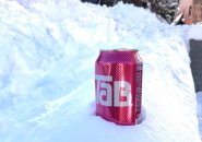 Tab in the snow