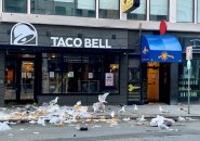 Gulls enjoying a feast outside the Taco Bell in downtown Boston
