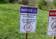 Sign warns of Covid-19 risk from sniffing lilacs