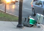 Downed traffic light on the Jamaicaway
