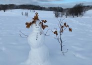 Snowwoman in Franklin Park