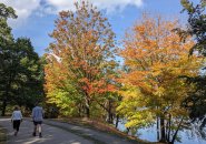 Colorful trees at Jamaica Pond