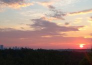 Orange sunrise over Peters Hill in the Arnold Arboretum and downtown Boston