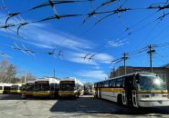 Trackless trolleys in Watertown