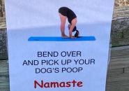 Free yoga: Bend down and pick up your dog's crap at Millennium Park