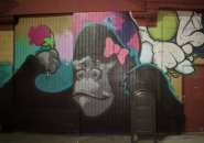 New mural in Allston shows gorilla