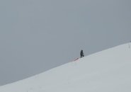 Lone sledder at Millennium Park