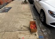 Box of abandoned peaches on Hereford Street