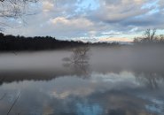 Fog at Jamaica Pond this morning