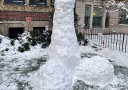 Snow penis