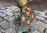 Duckling dressed in St. Patrick's attire