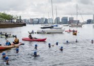 Seals, others get ready to swim from East Boston to downtown