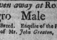 Ad in colonial newspaper offering a free negro male child in Roxbury
