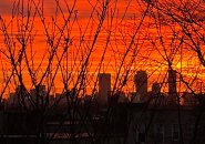 Boston skyline at dawn