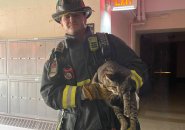 Firefighter with Rascal the Cat