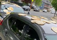 Pita scattered on cars in Roslindale