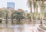 Couple getting engaged in the Public Garden